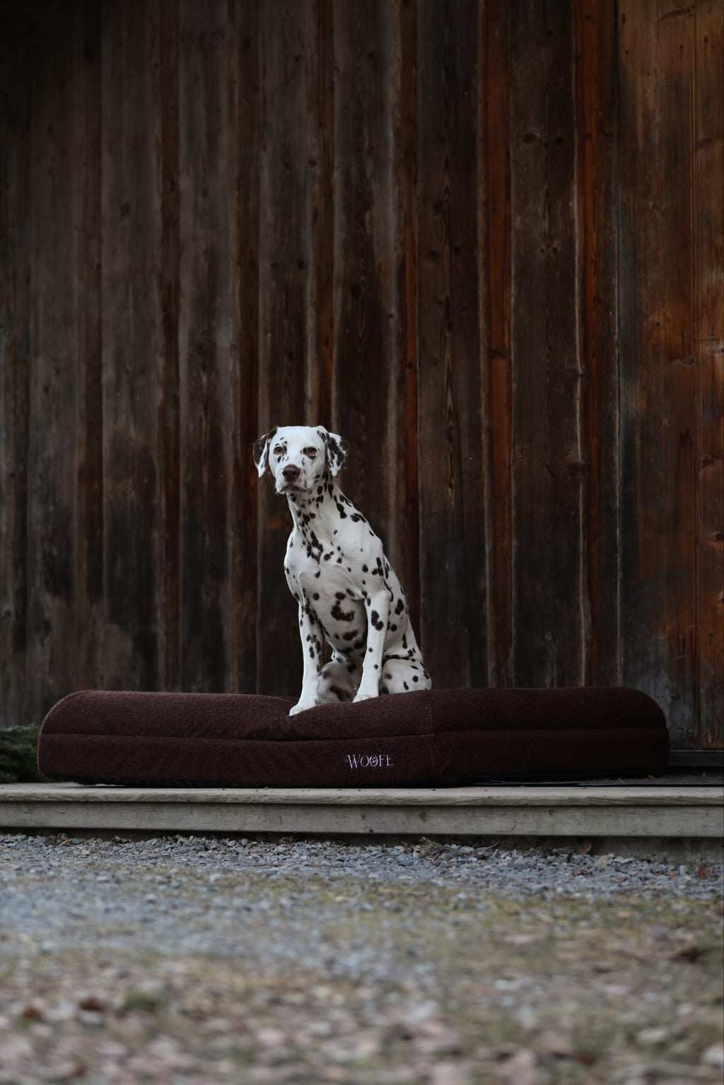 The Bear Bed Mijn winkel