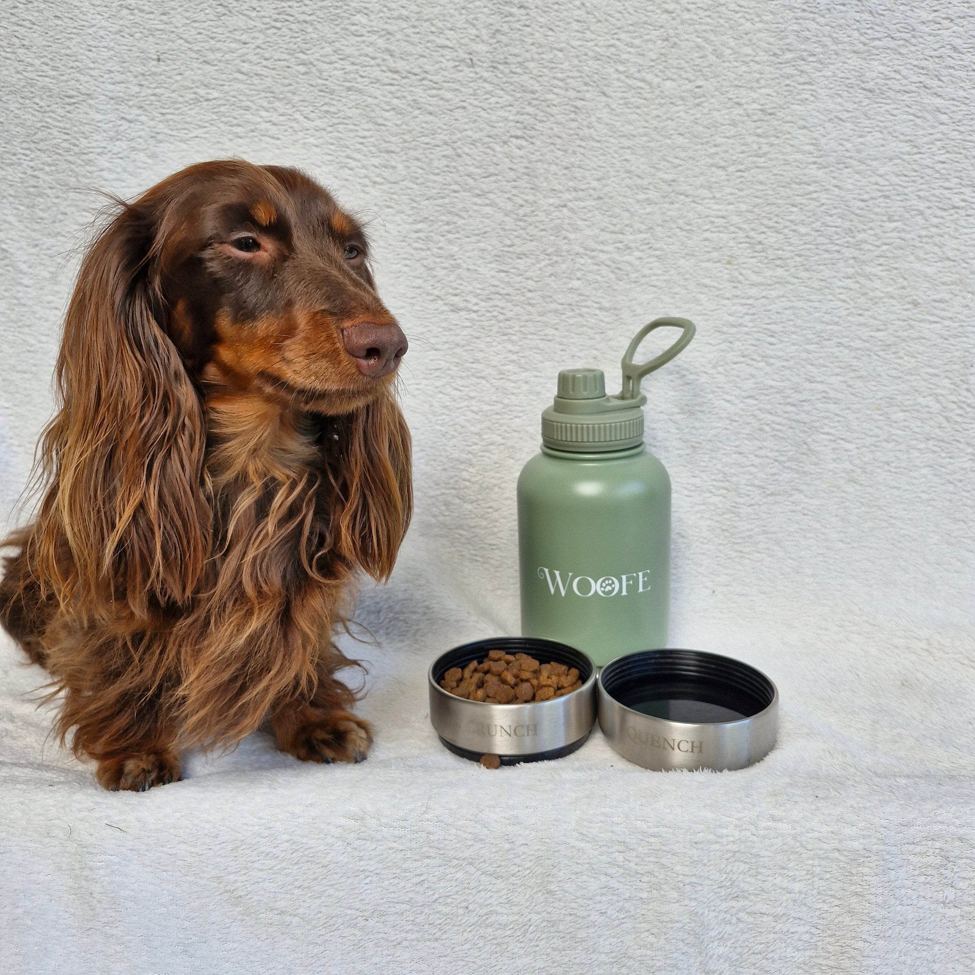 3 in 1 Water Bottle - Matcha Green Woofe