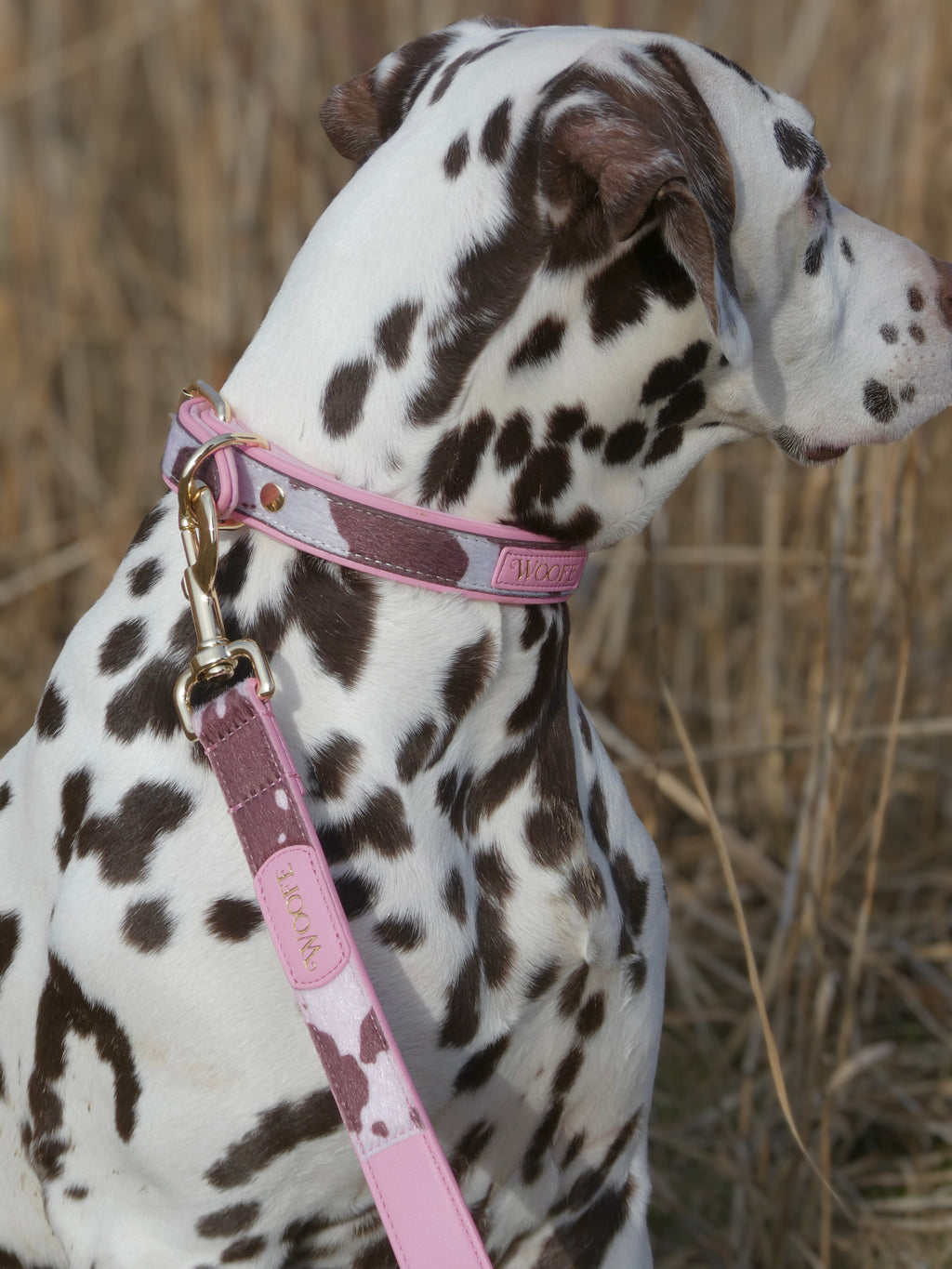 The MOO'd Collar Woofe