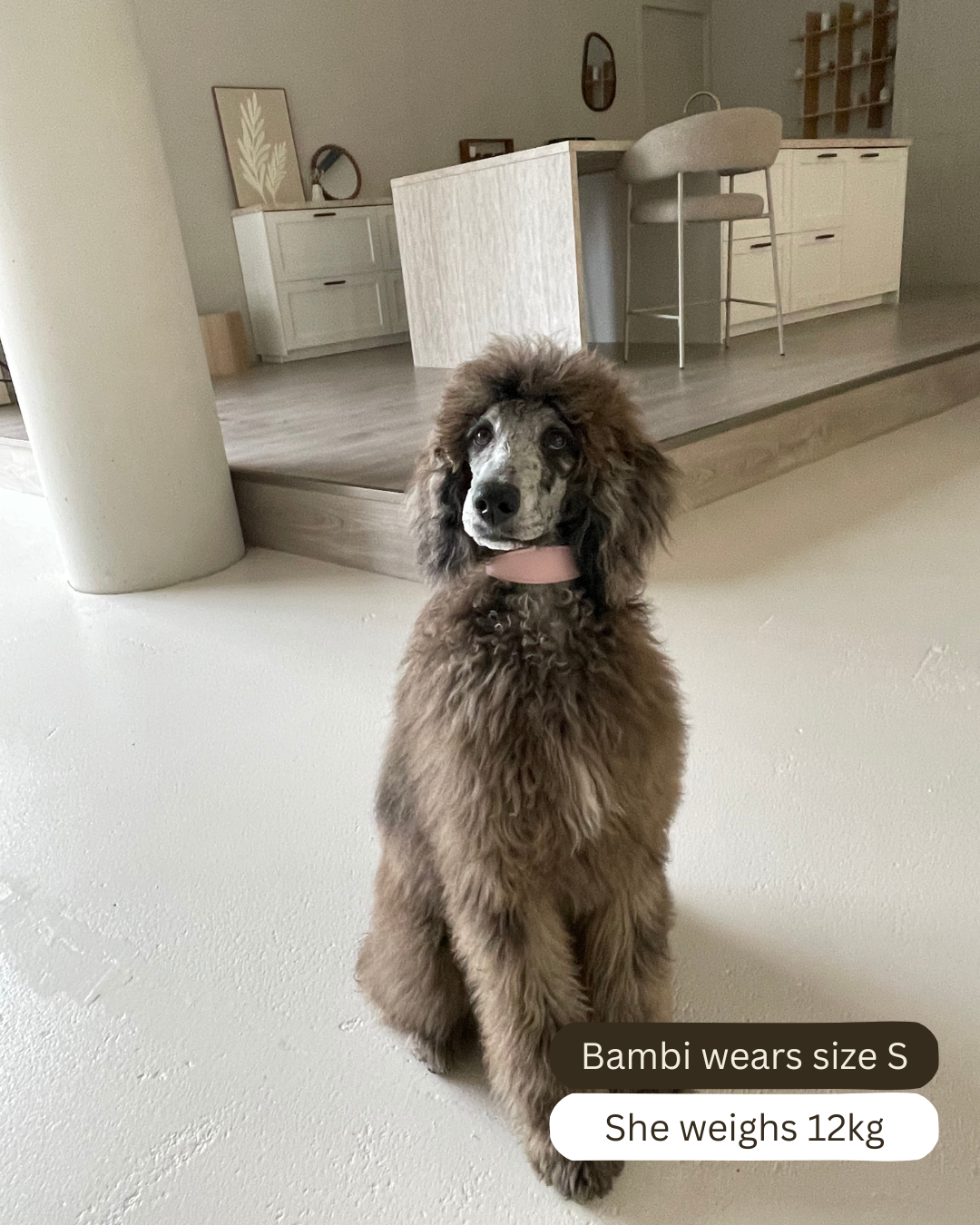 Pink Vegan Leather Collar Mijn winkel