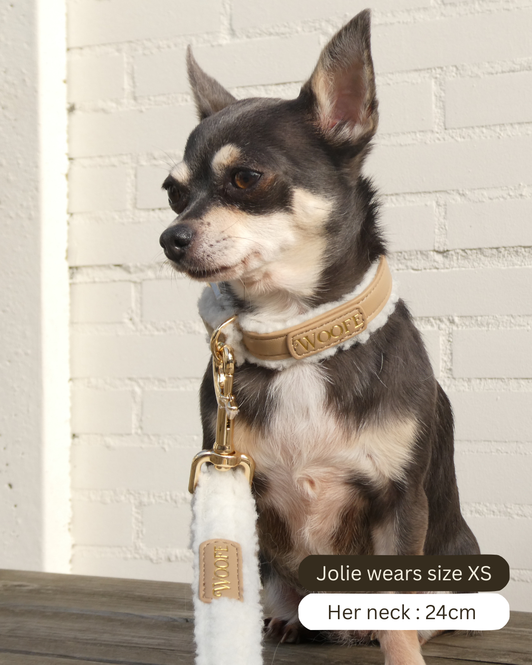 The Cosy Collar Mijn winkel