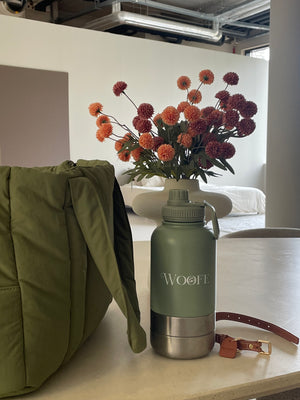 3 in 1 Water Bottle - Matcha Green