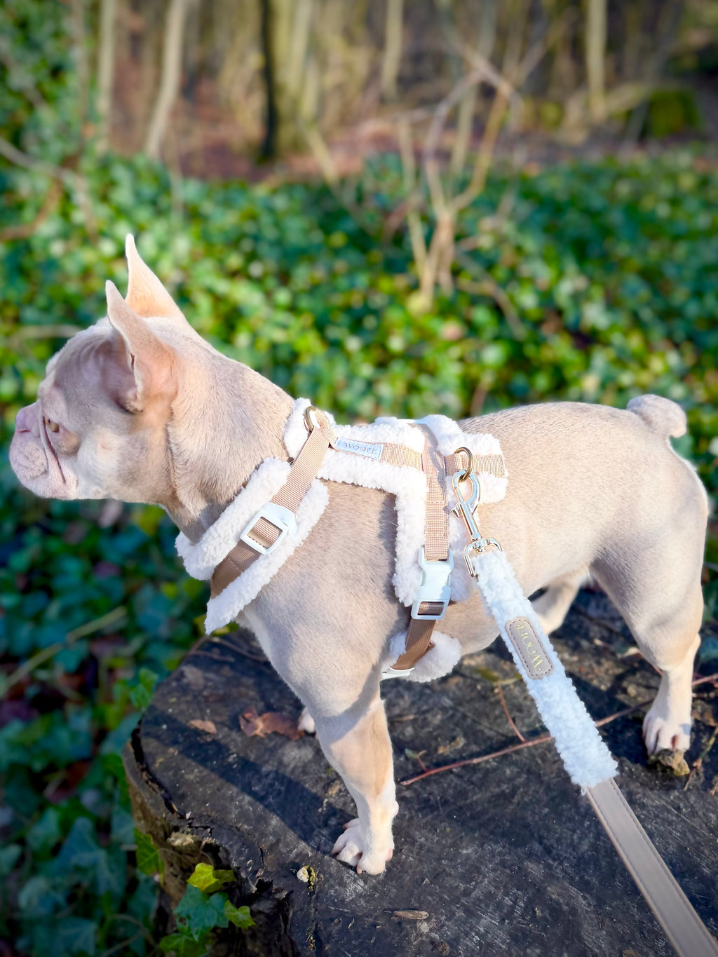 The Sherpa Bear Harness Mijn winkel