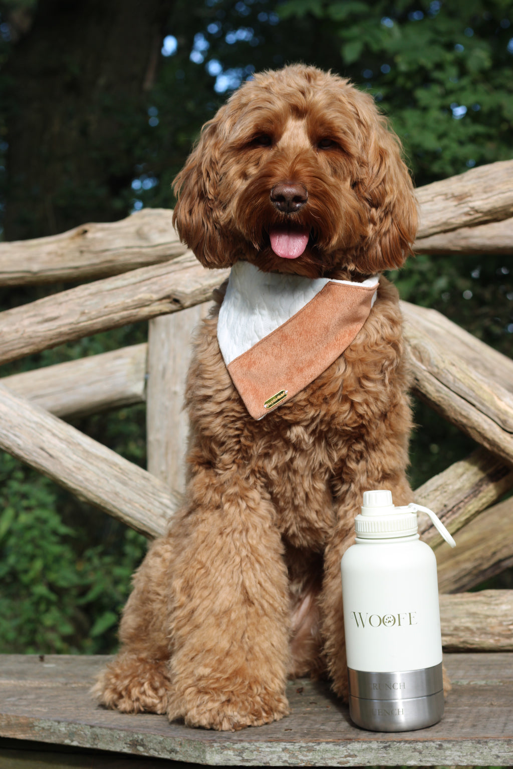 3 in 1 Water bottle - Oatmilk White Mijn winkel