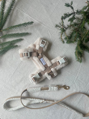 The Sherpa Harness