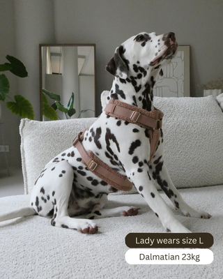 Teddy Harness Hazelnut