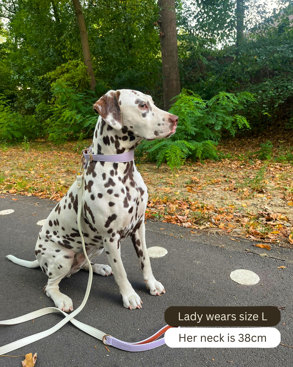 Lilac Vegan Leather Collar Mijn winkel
