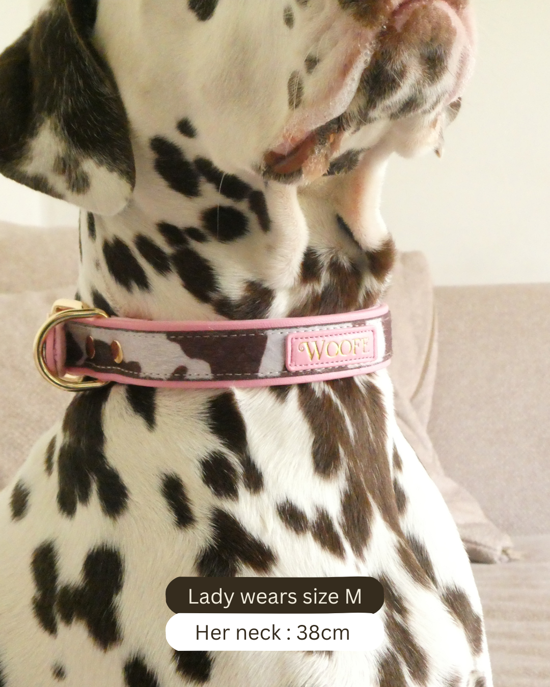 The MOO'd Collar Woofe