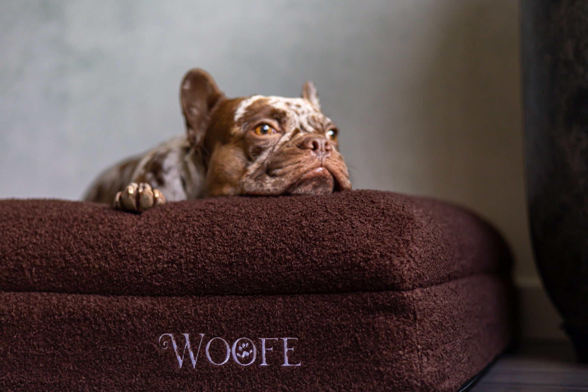 The Bear Bed Mijn winkel