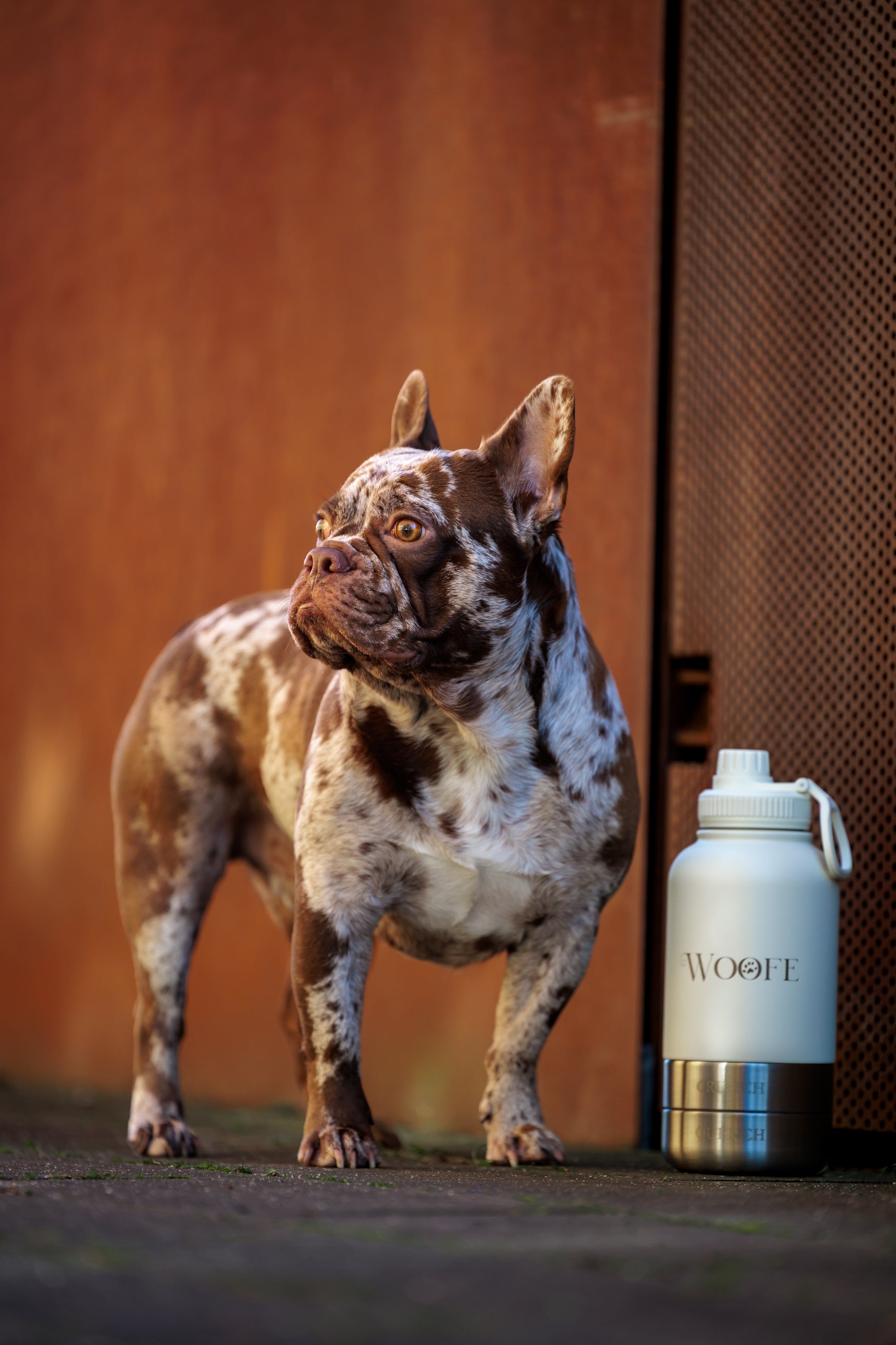 3 in 1 Water bottle - Oatmilk White Mijn winkel