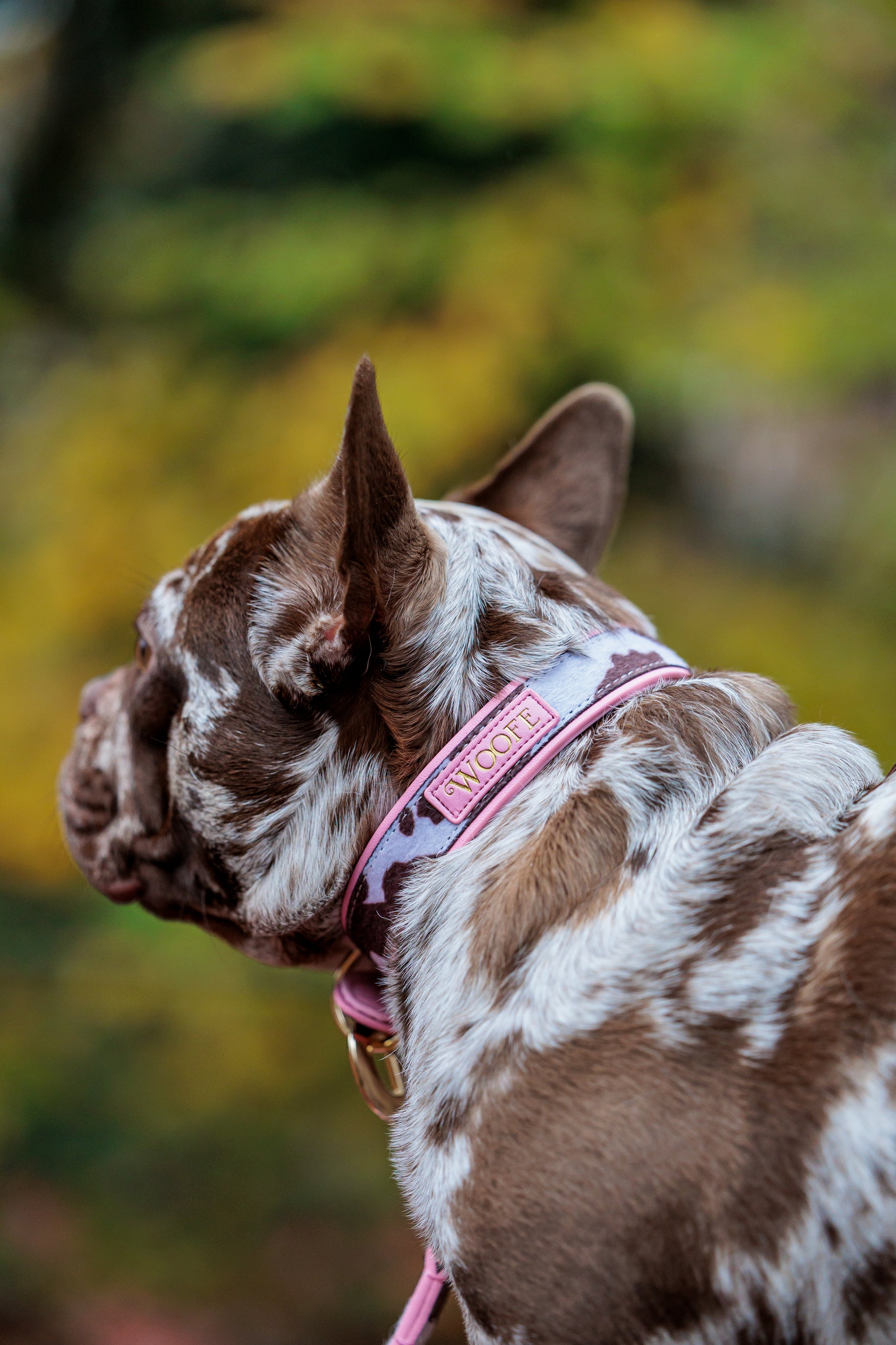 The MOO'd Collar Woofe