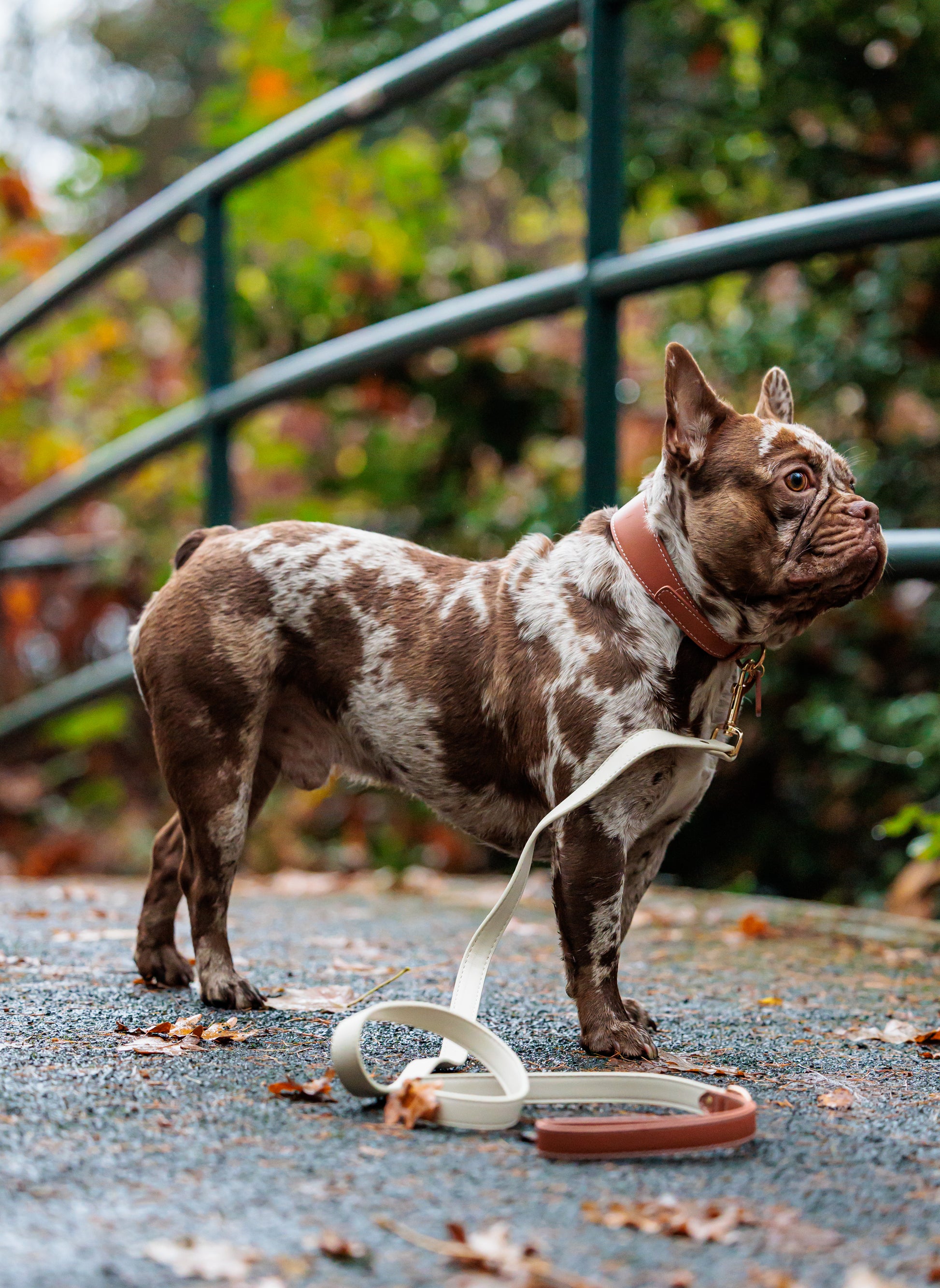 Mocha Vegan Leather Collar Mijn winkel