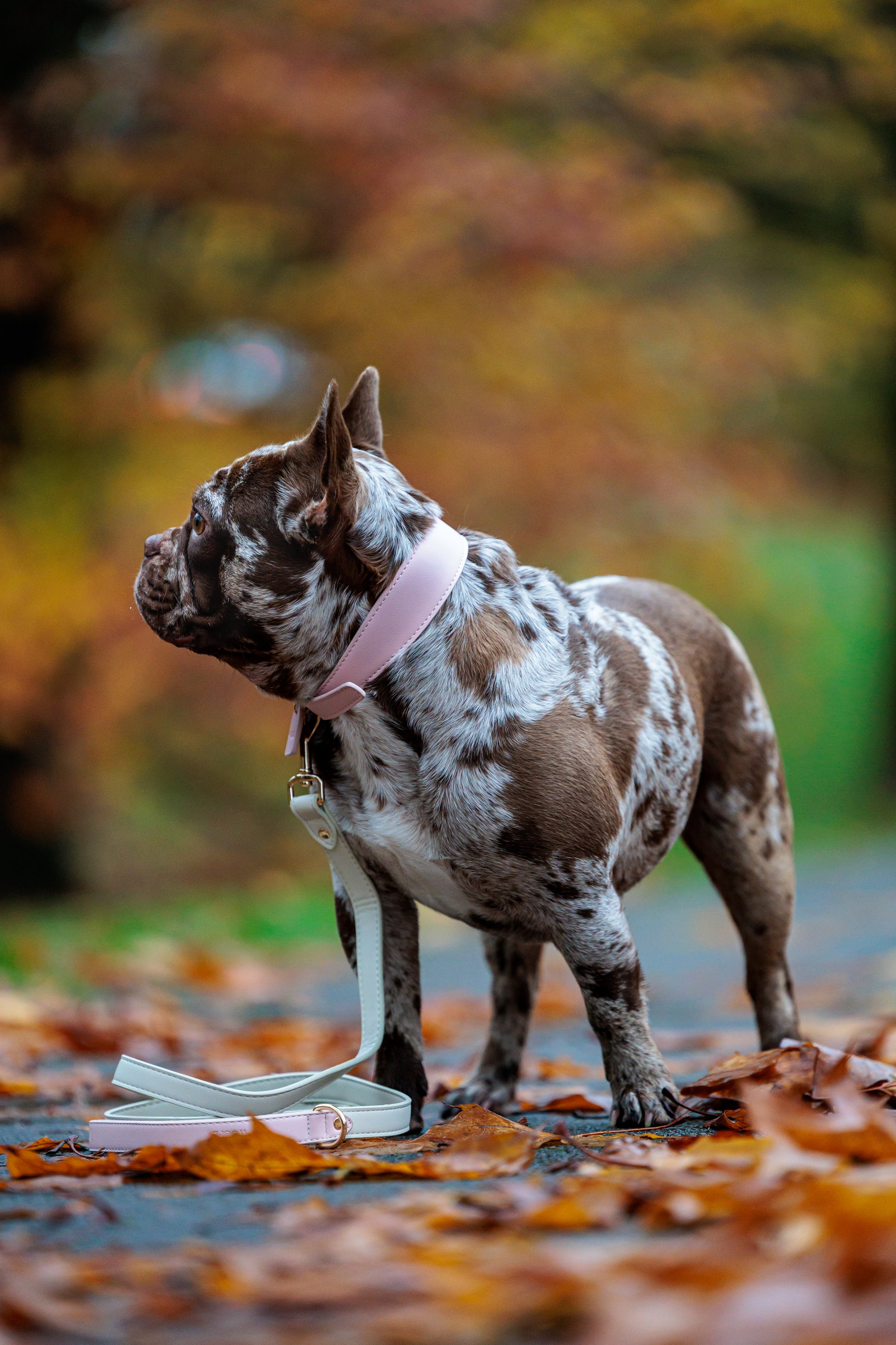 Pink Vegan Leather Collar Mijn winkel