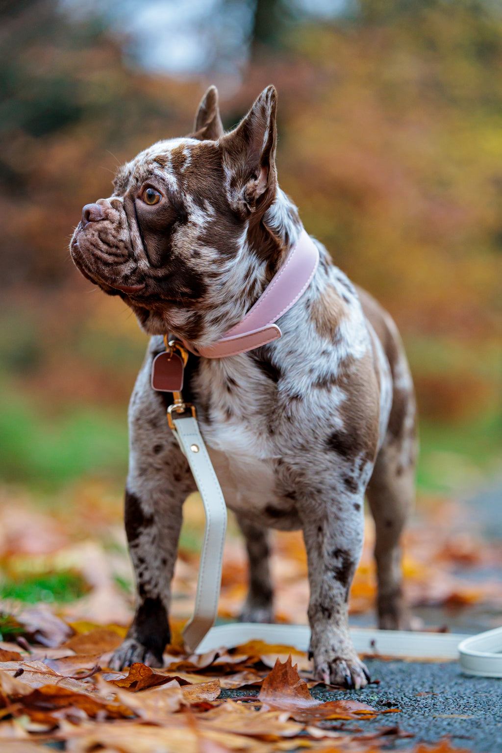 Pink Vegan Leather Leash Woofe