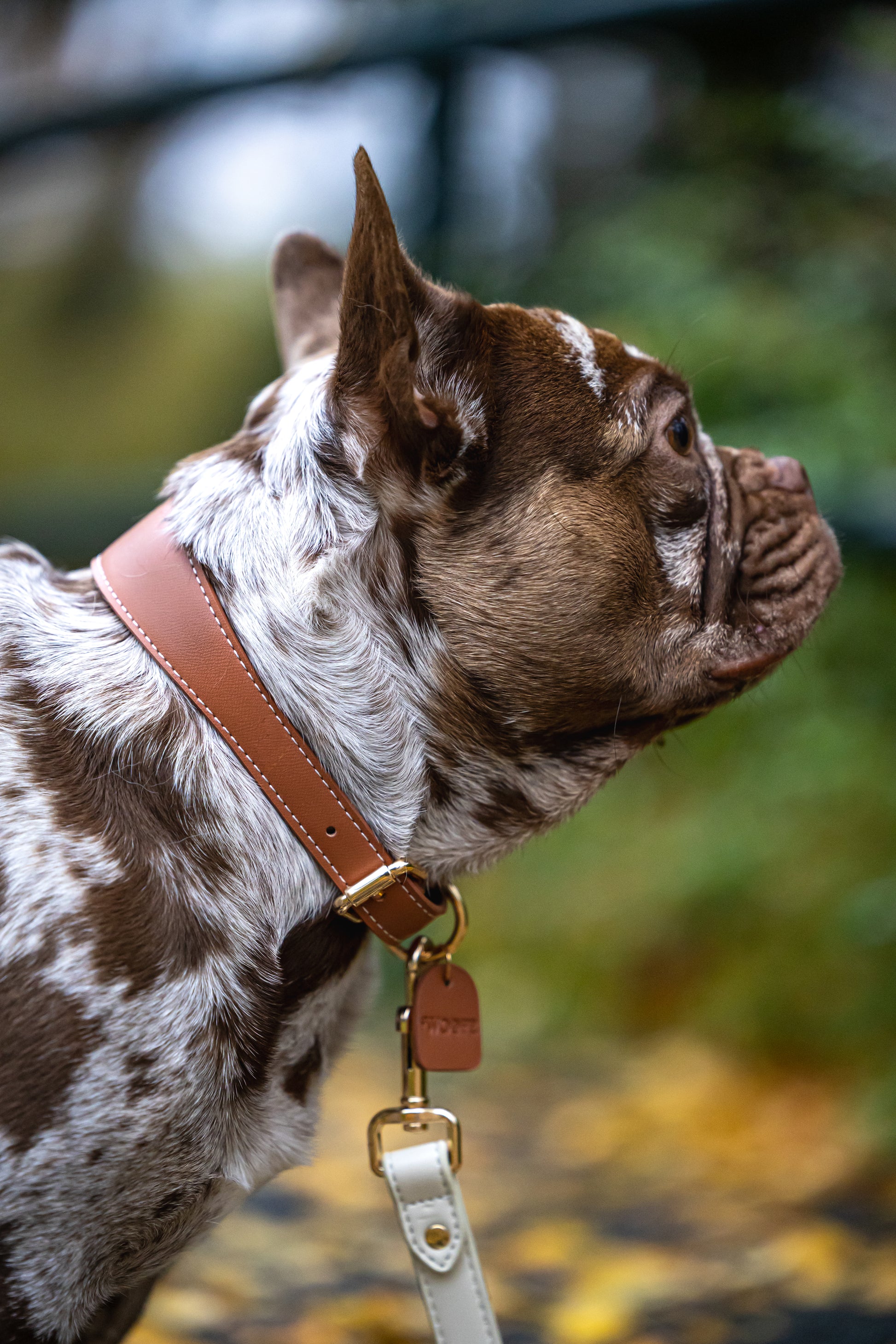 Mocha Vegan Leather Collar Mijn winkel
