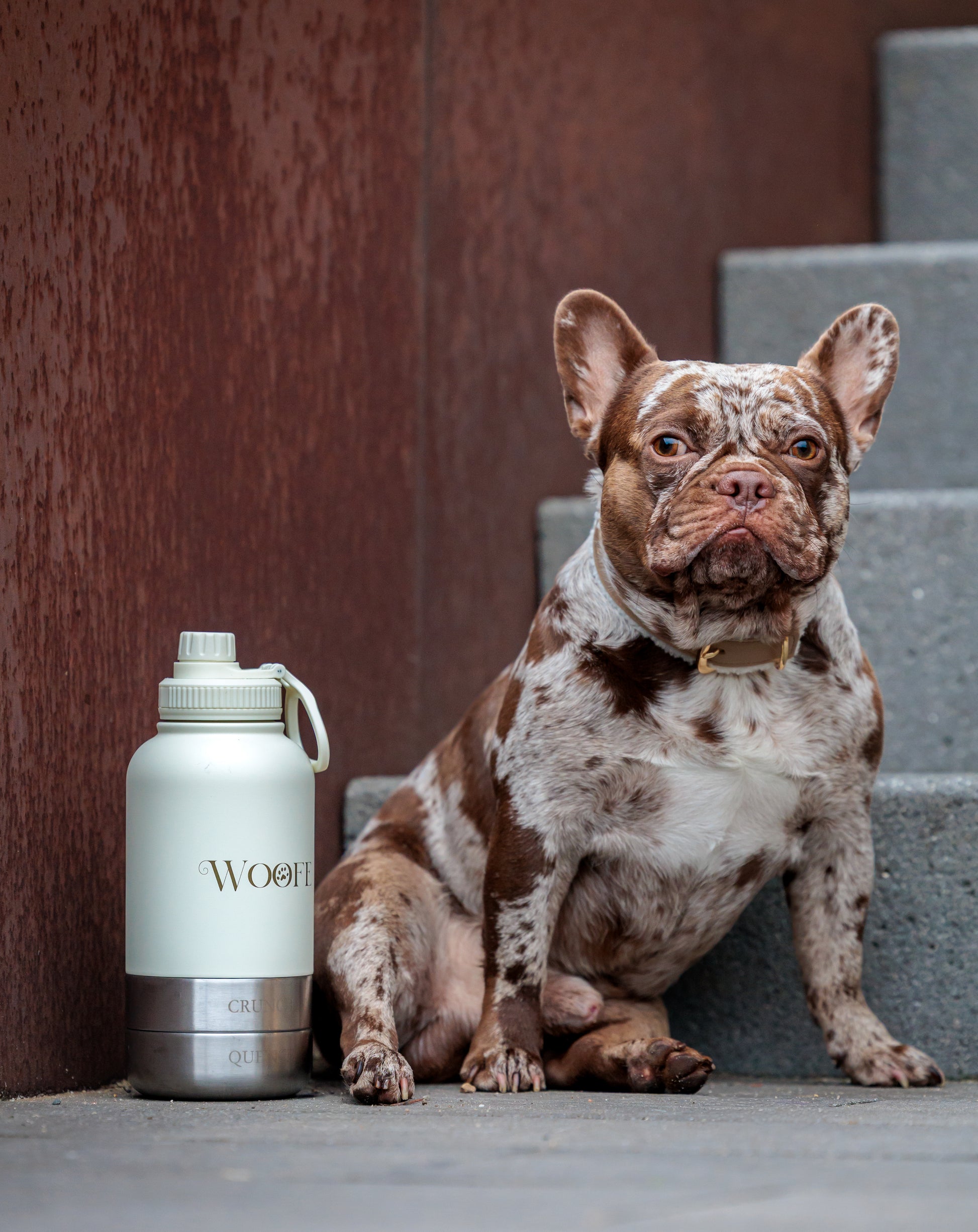 3 in 1 Water bottle - Oatmilk White Mijn winkel