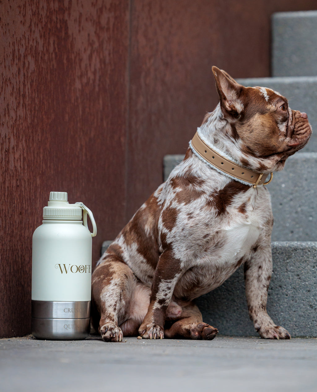 3 in 1 Water bottle - Oatmilk White Mijn winkel