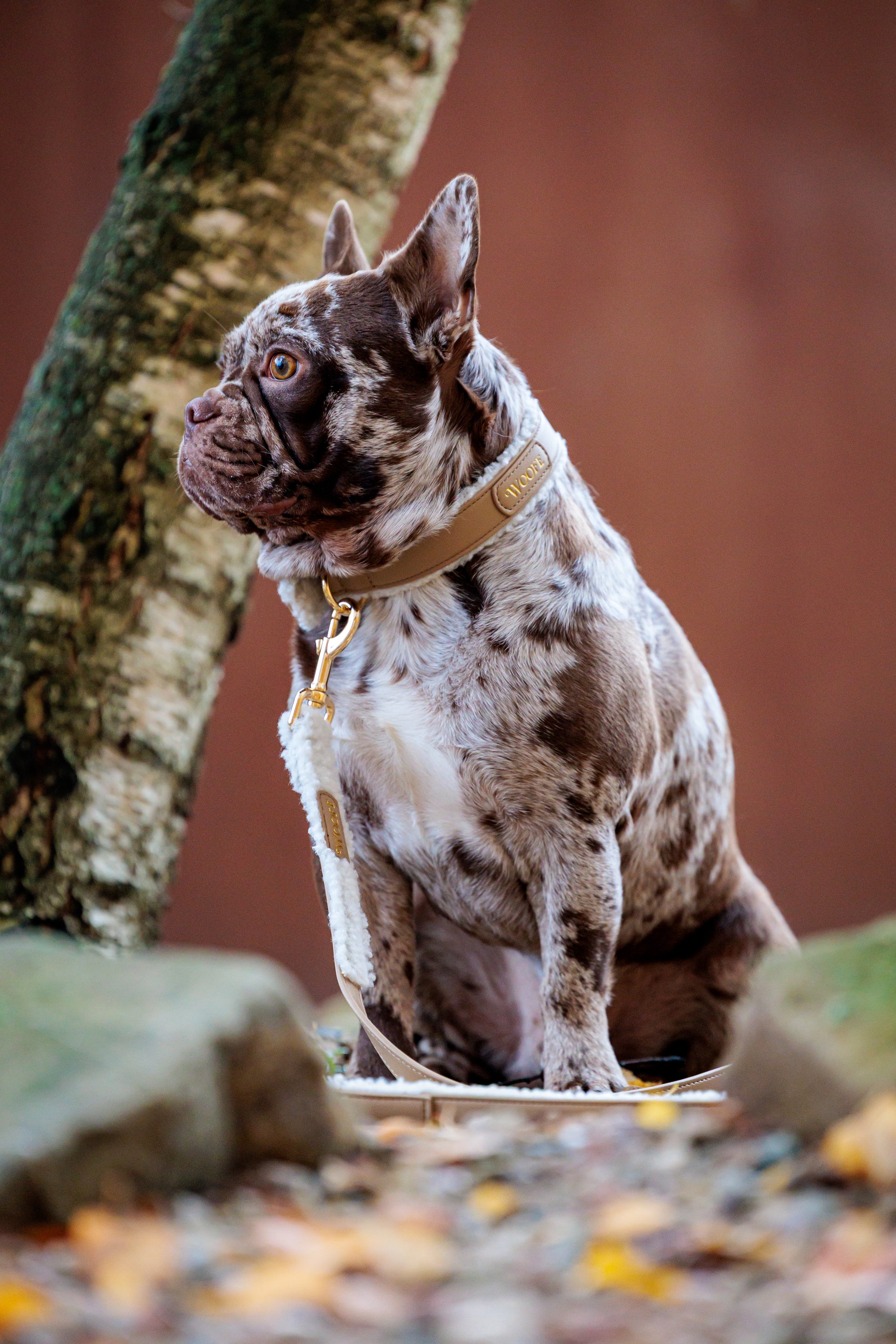 The Cosy Bundle Woofe