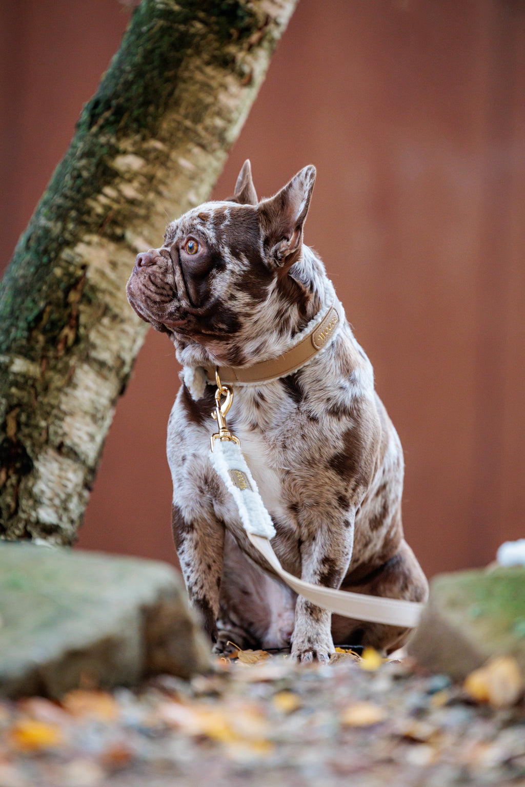 The Cosy Bundle Woofe