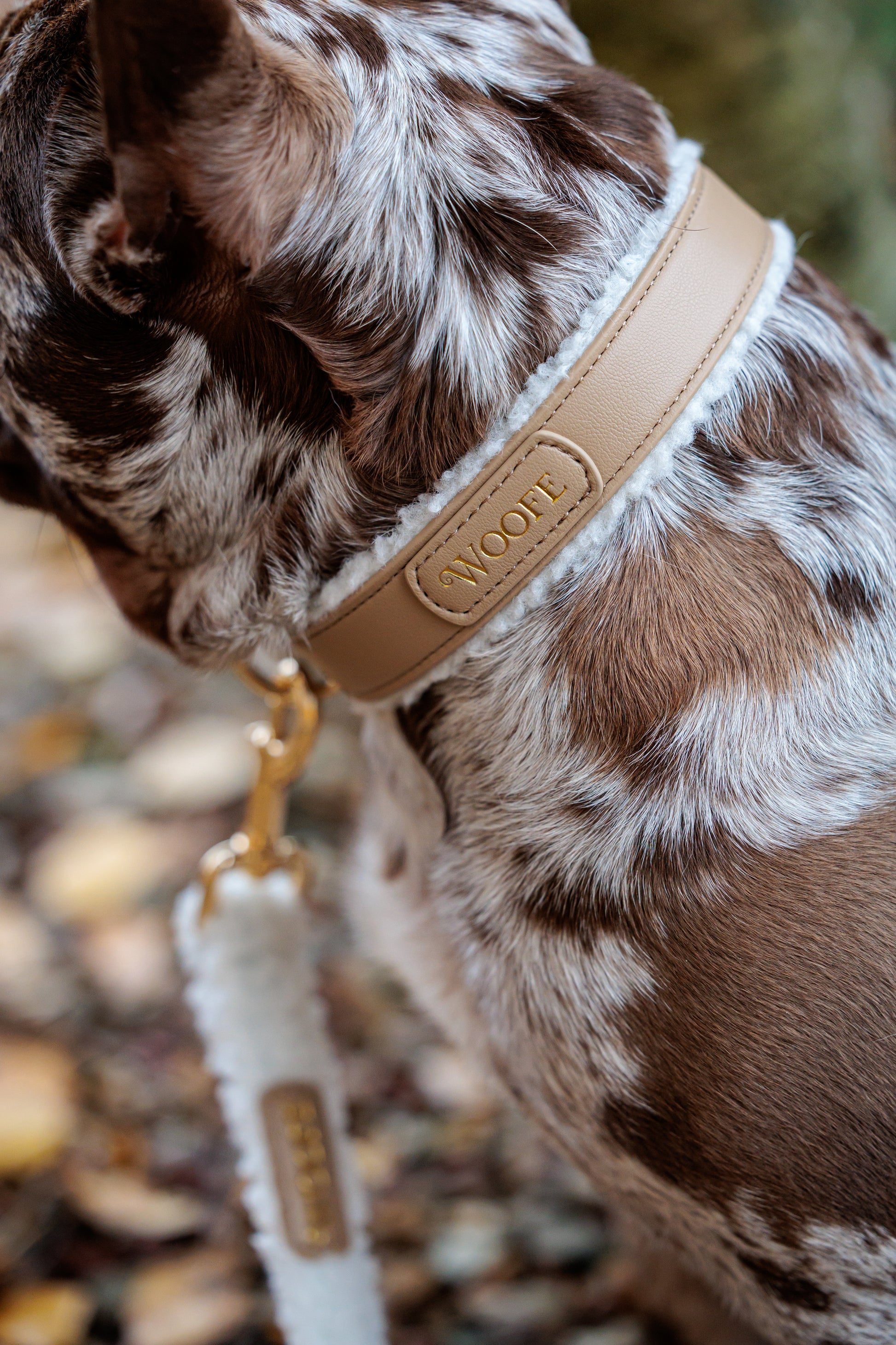 The Cosy Collar Mijn winkel