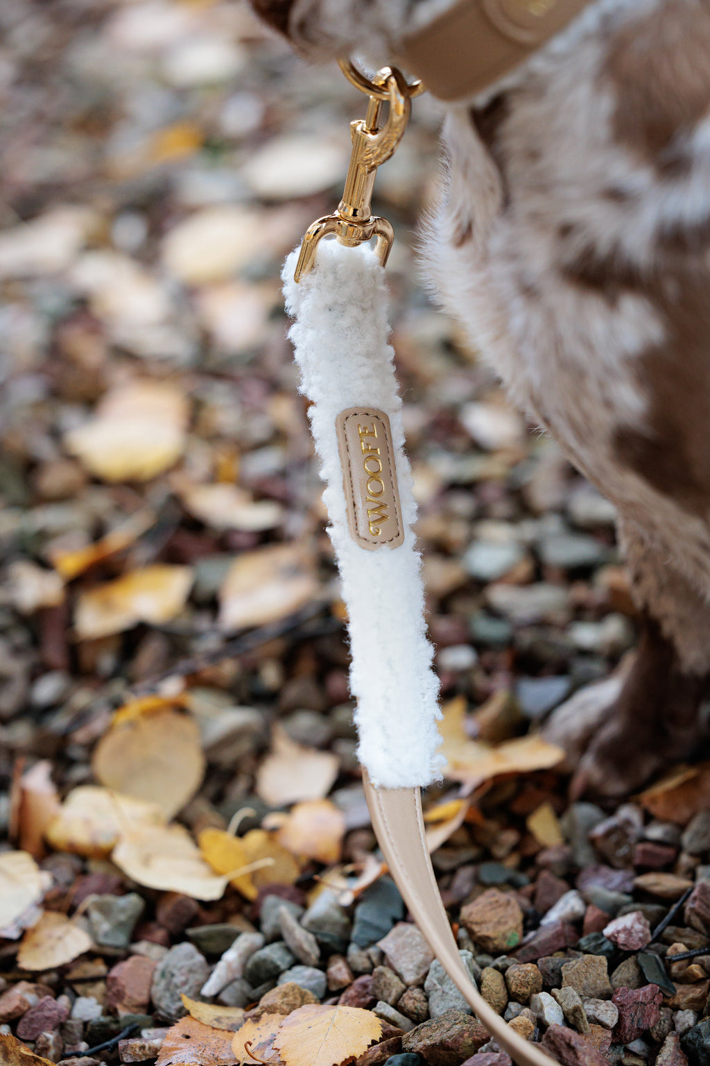 The Cosy Collar Mijn winkel