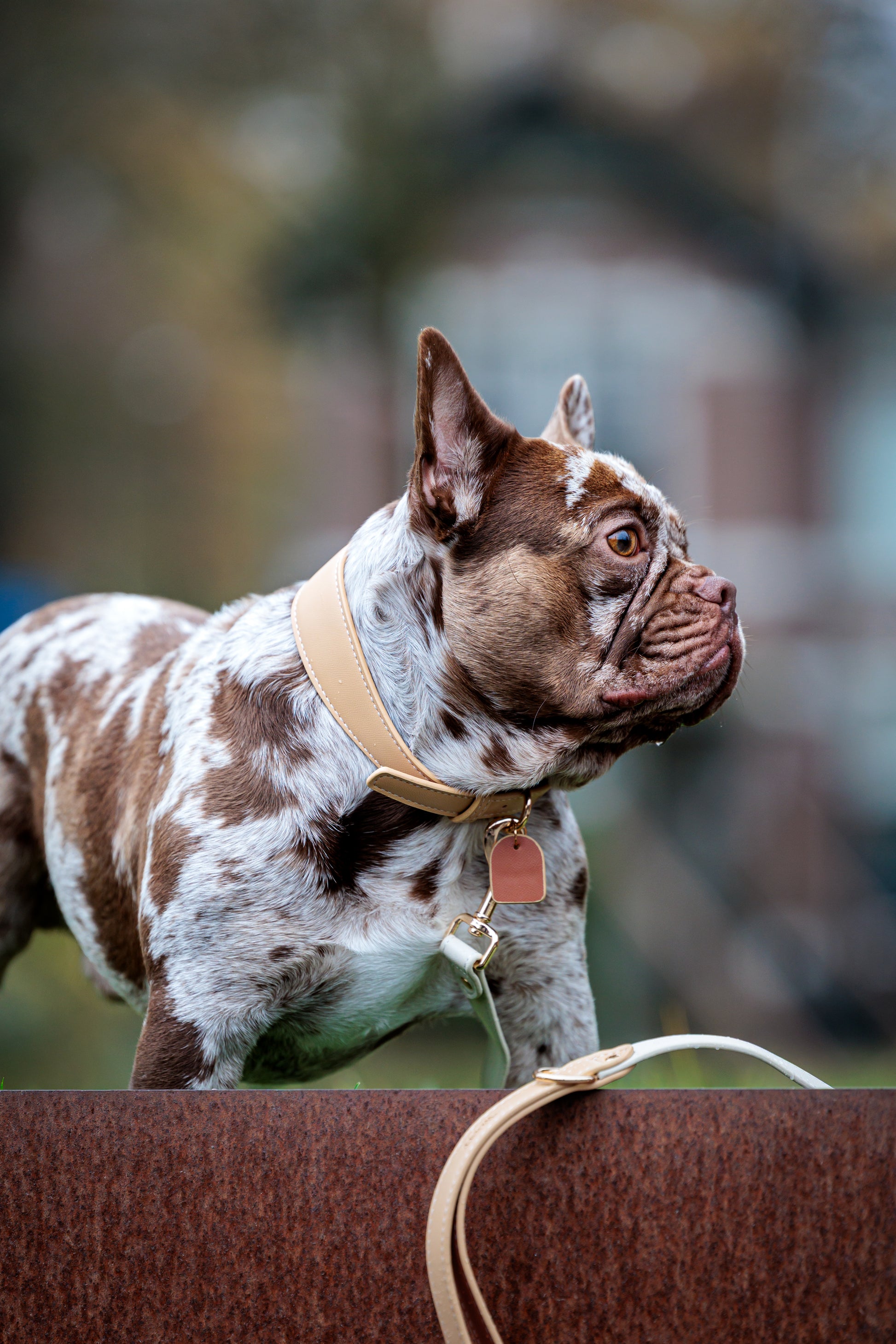 Beige Vegan Leather Collar Mijn winkel