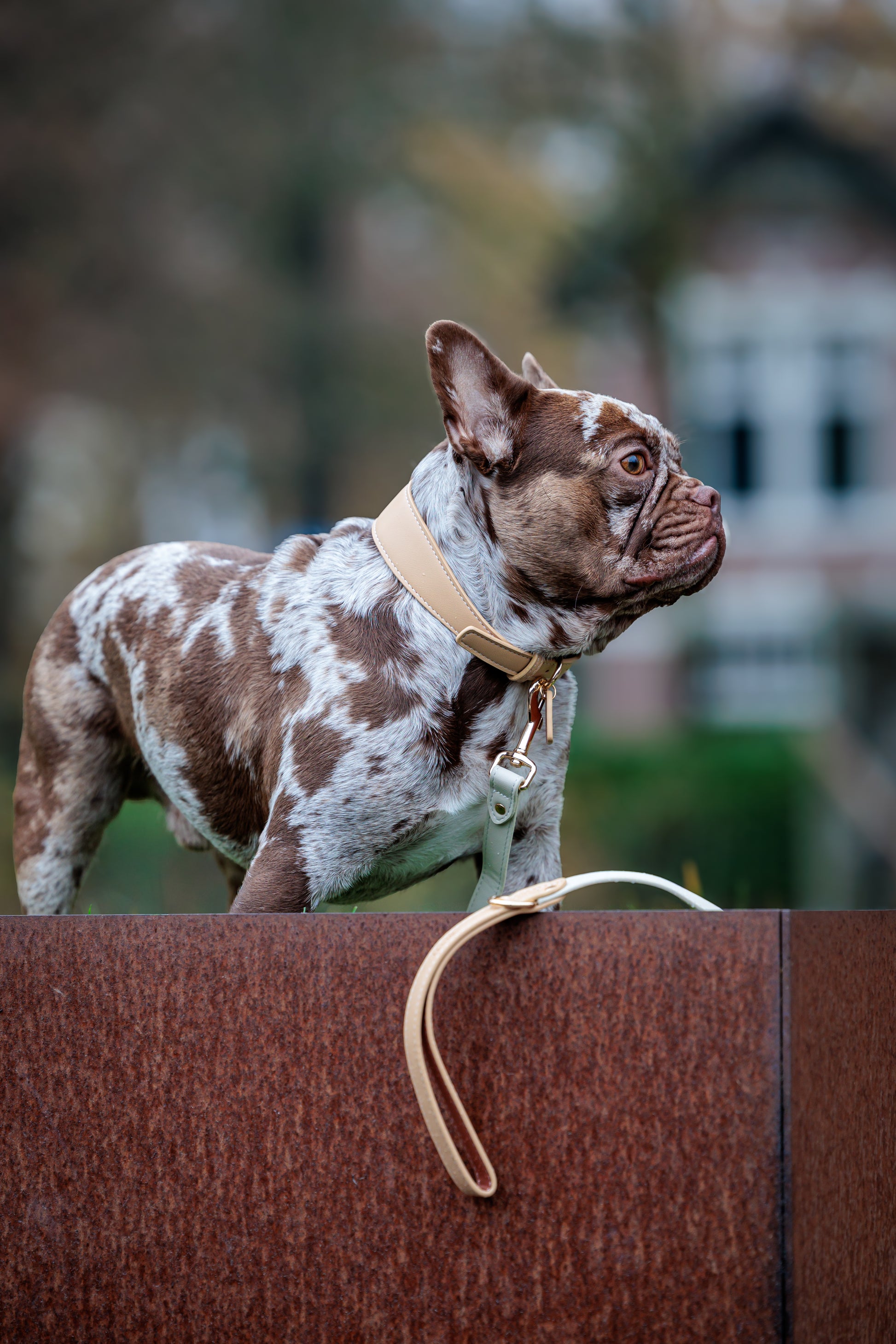 Beige Vegan Leather Collar Mijn winkel