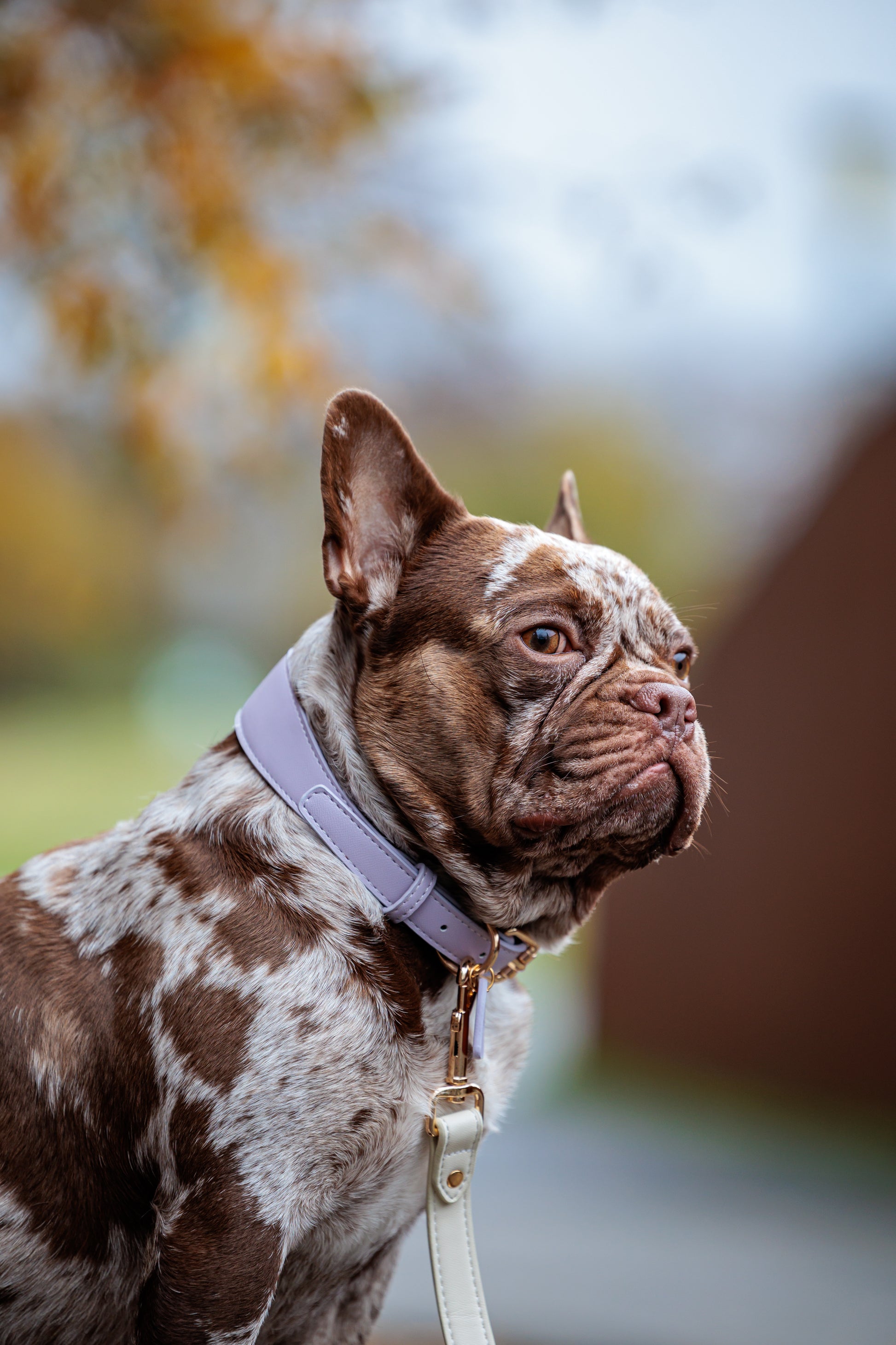 Lilac Vegan Leather Collar Mijn winkel