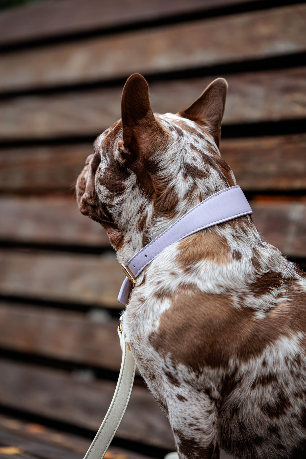 Lilac Vegan Leather Collar Mijn winkel