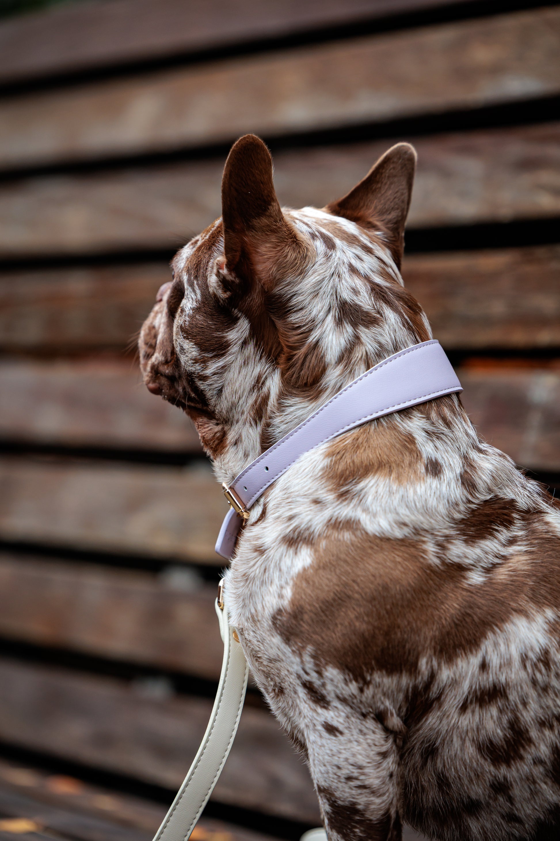 Lilac Vegan Leather Collar Mijn winkel