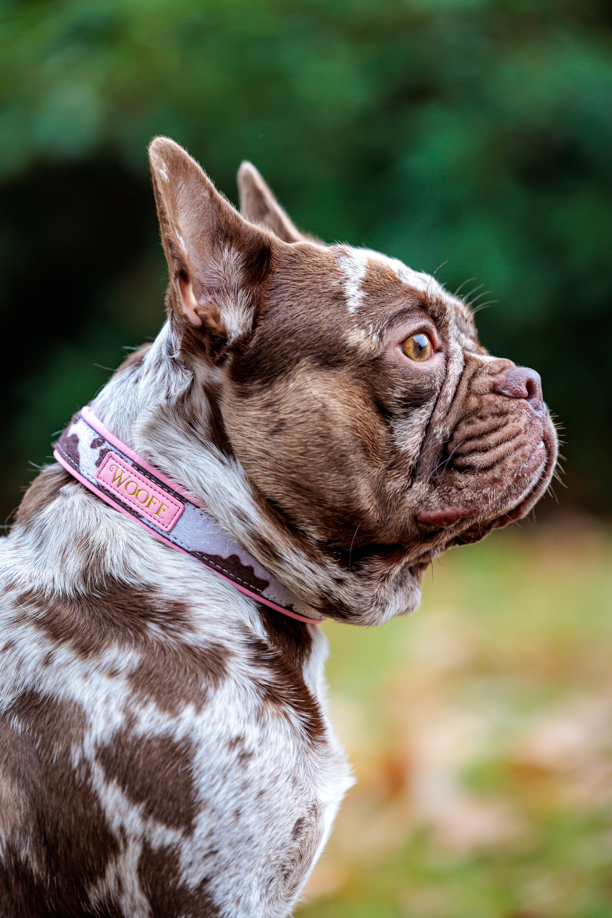 The MOO'd Bundle Woofe