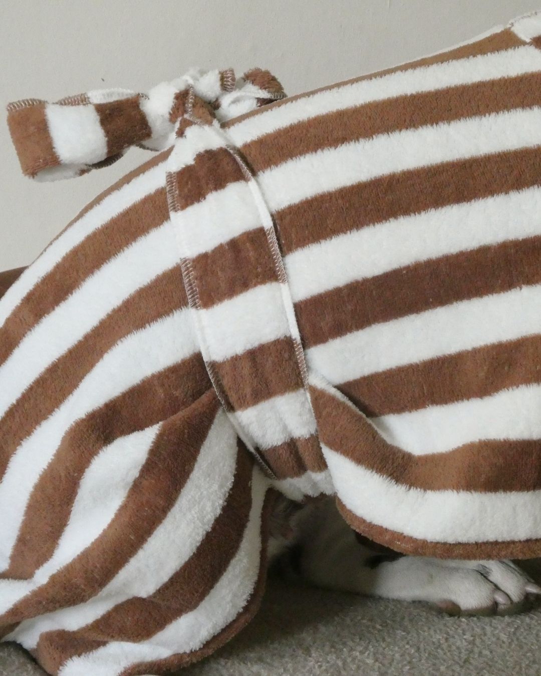 The Bathrobe Woofe