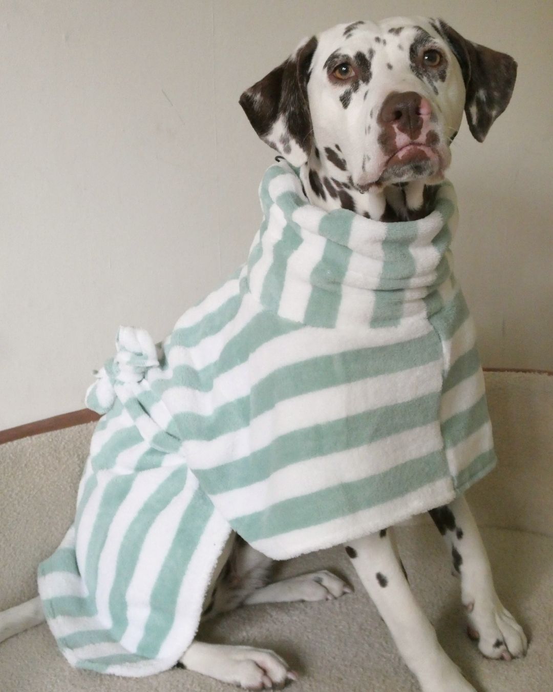 The Bathrobe Woofe