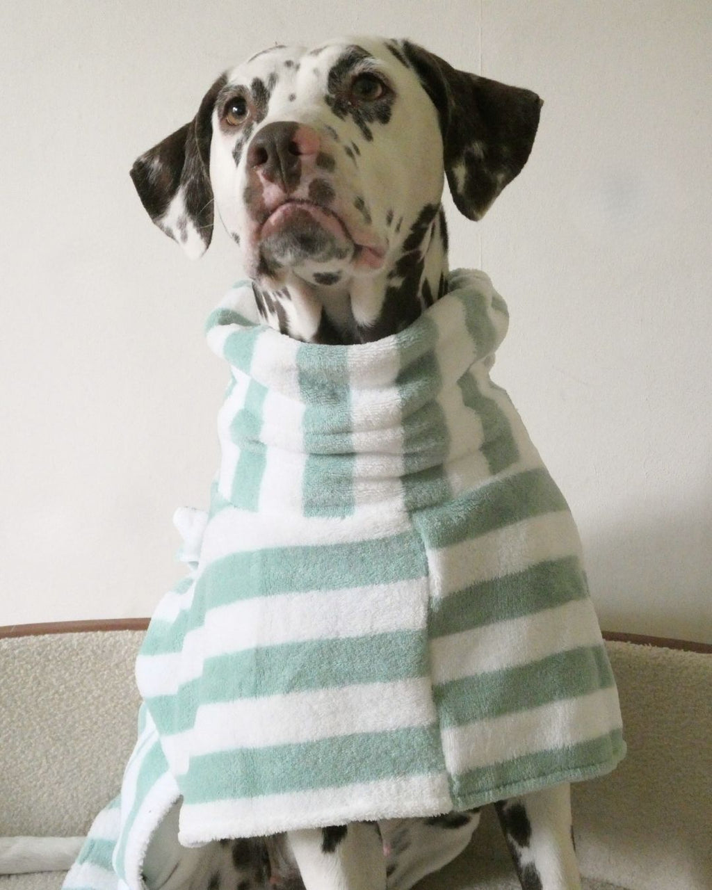 The Bathrobe Woofe