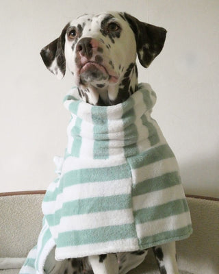 The Bathrobe