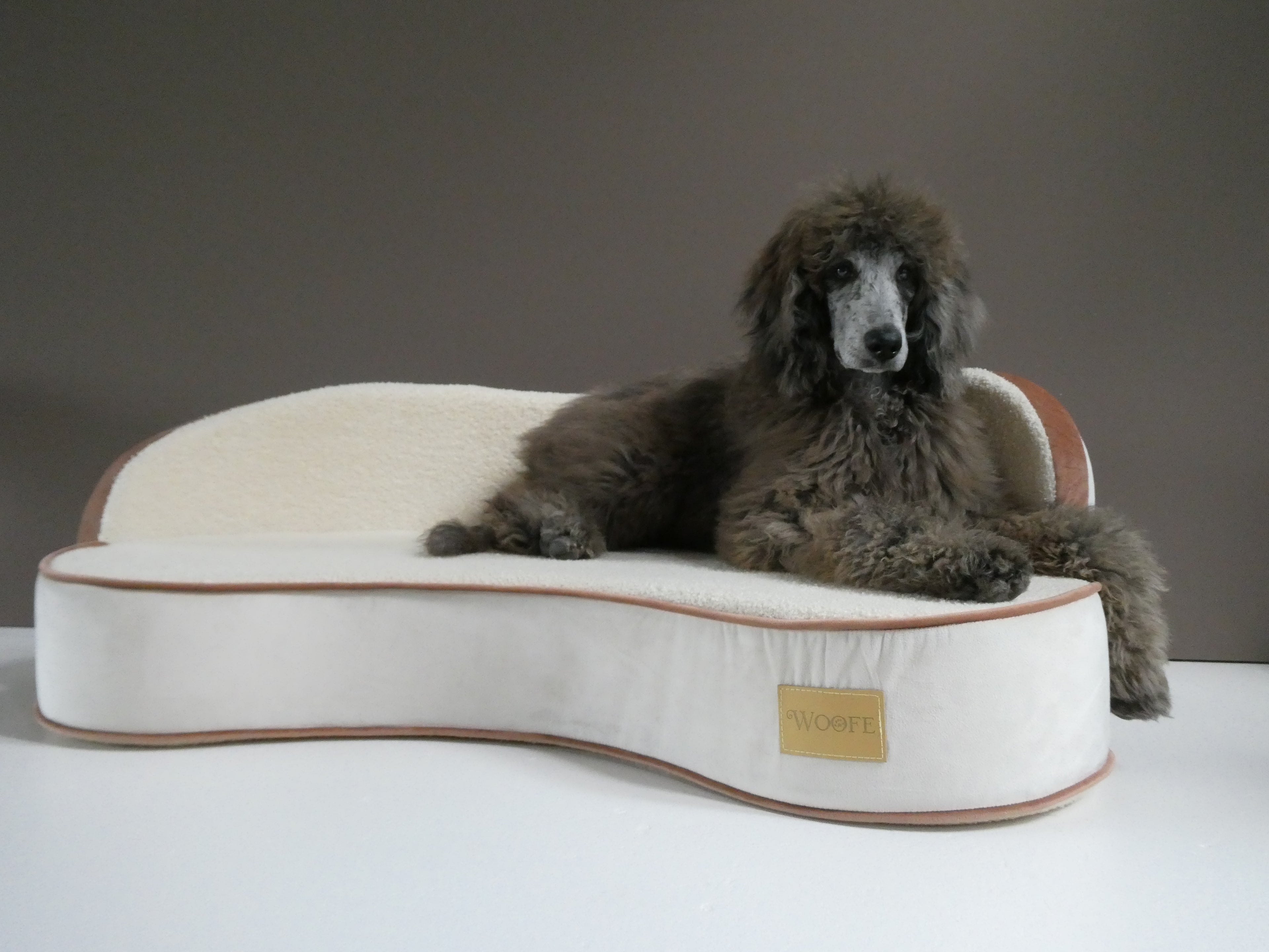 The Maisonette Dog Sofa - Pre Order Woofe