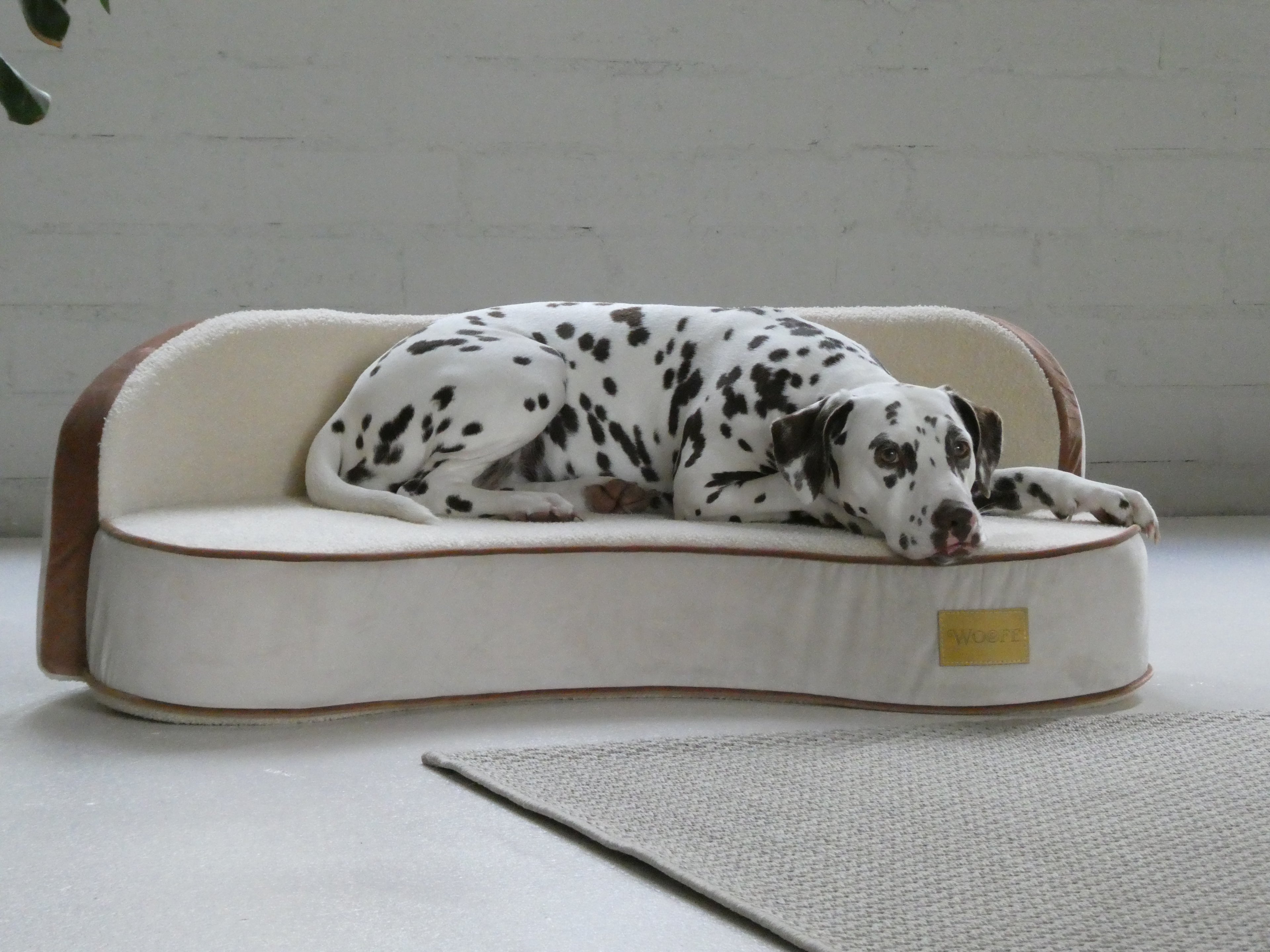 The Maisonette Dog Sofa - Pre Order Woofe