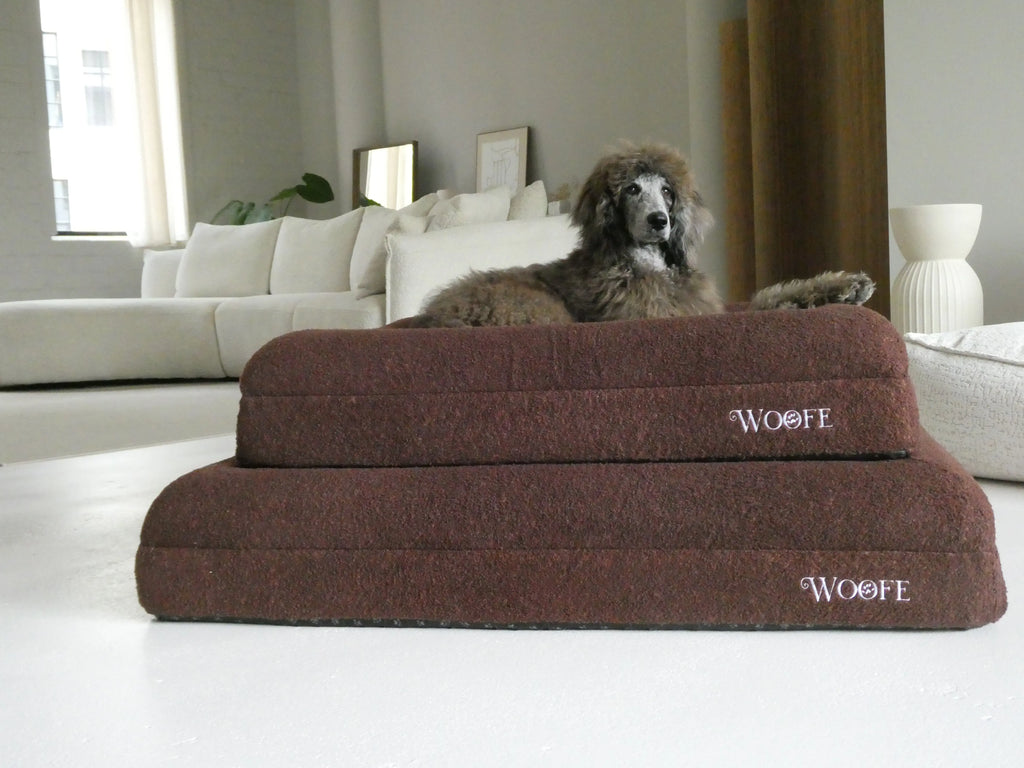 The Bear Bed Mijn winkel