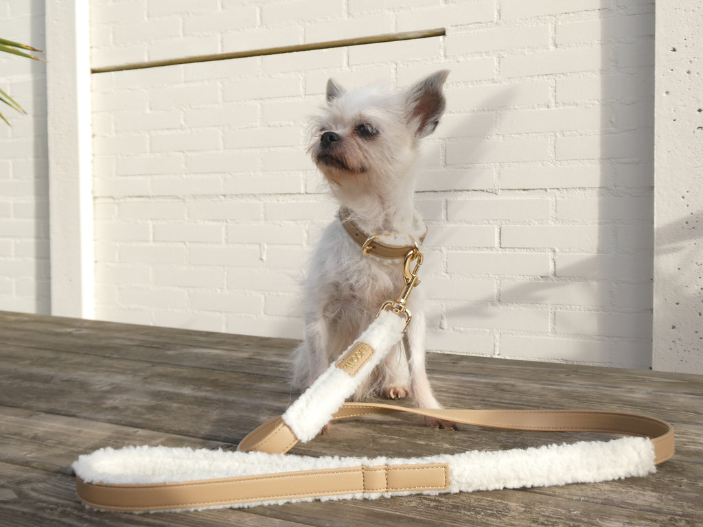 The Cosy Bundle Woofe