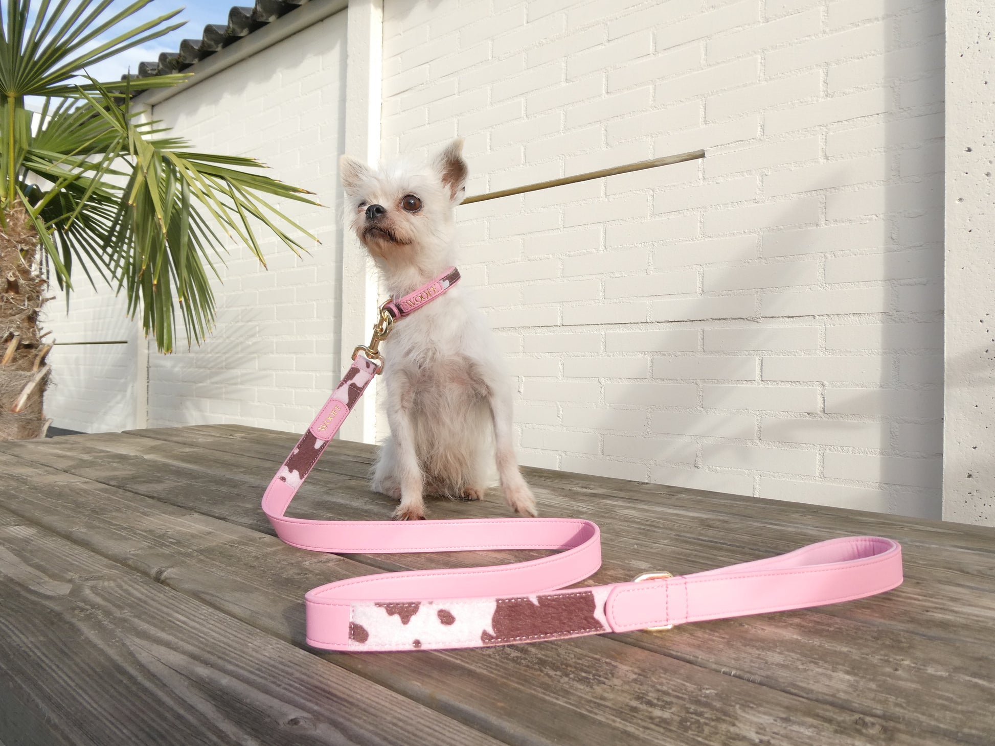 The MOO'd Collar Woofe