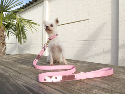 The MOO’d Signature Walk Set