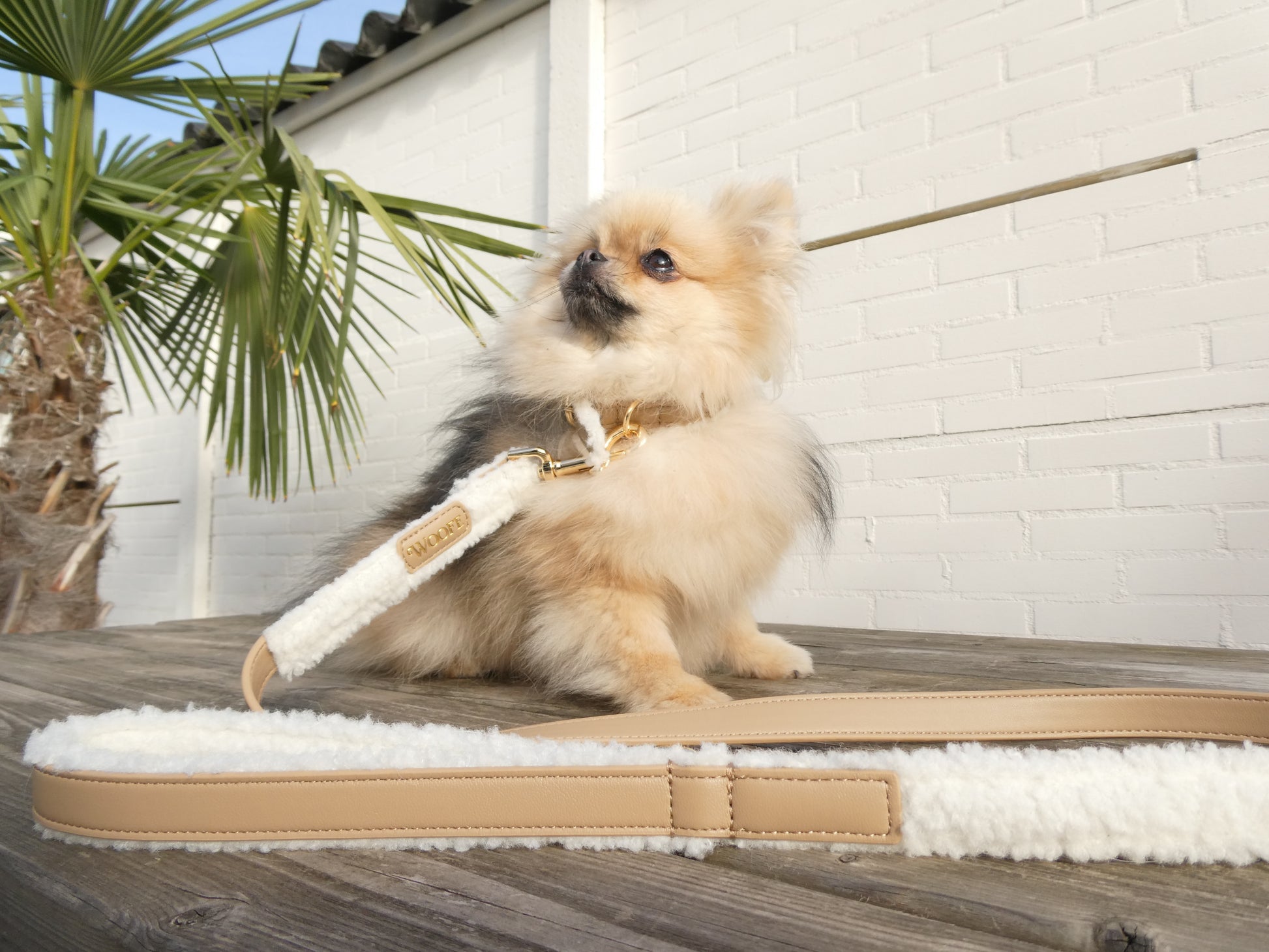 The Cosy Leash Woofe