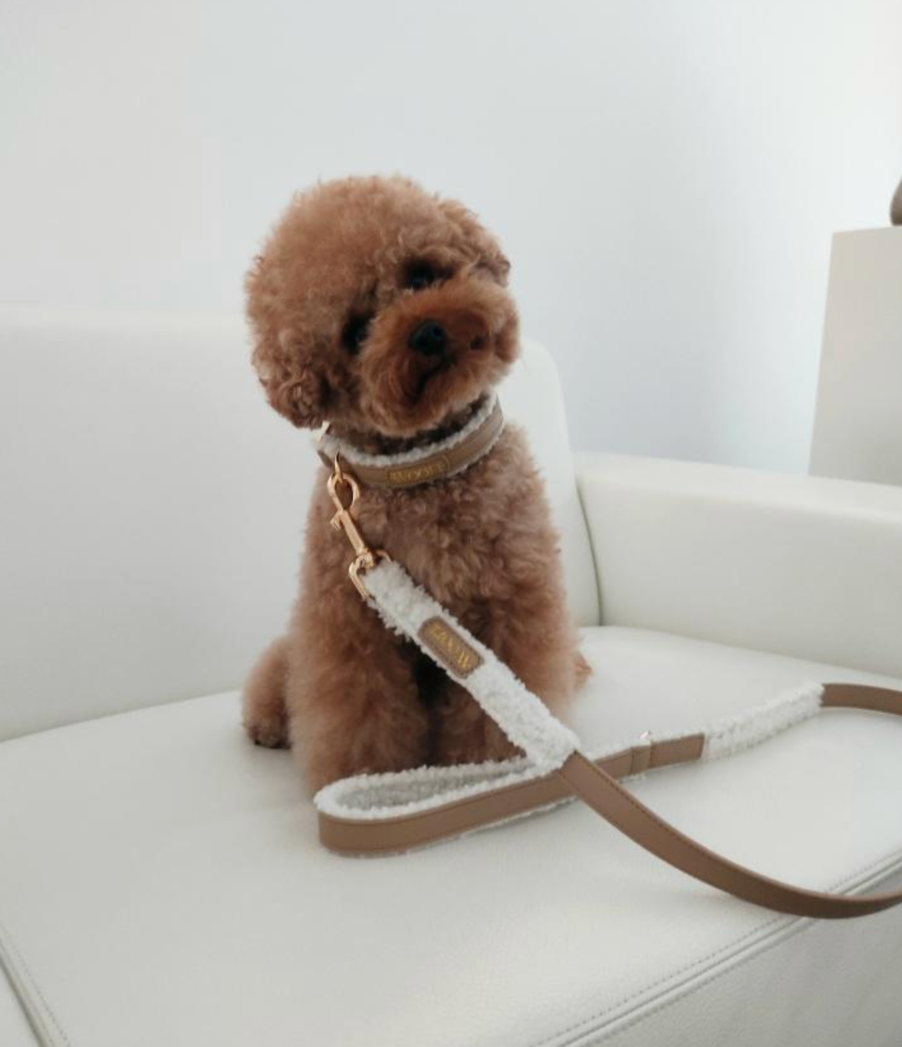 The Cosy Bundle Woofe