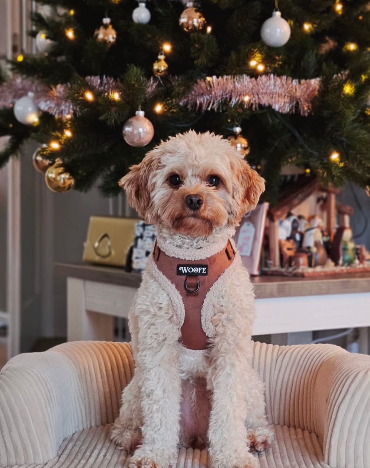 The Velvet Bear Harness Mijn winkel