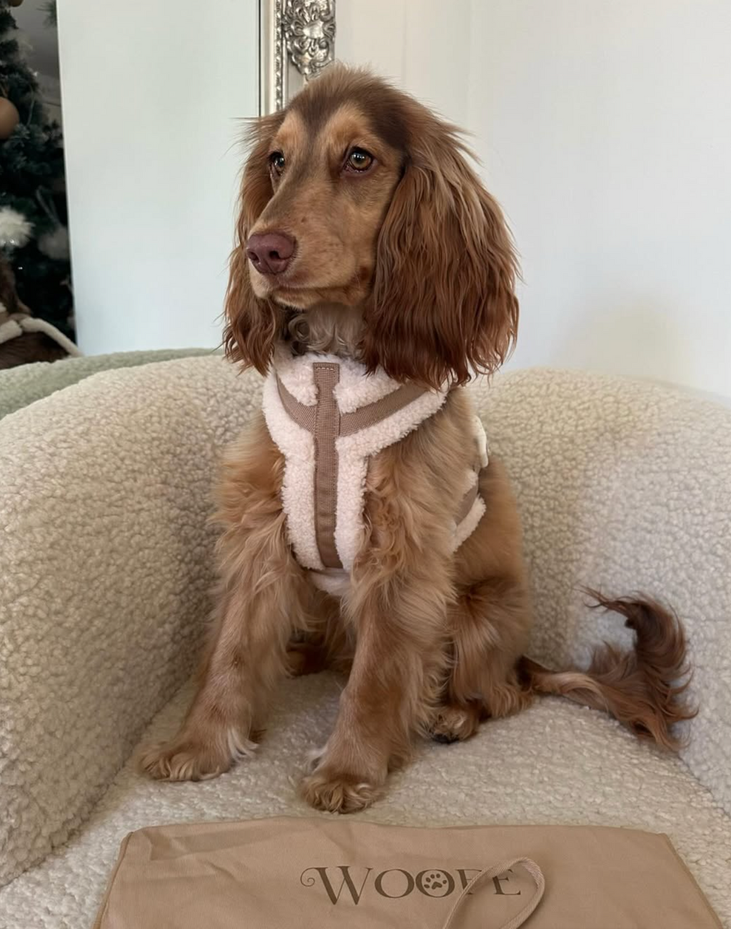 The Sherpa Bear Harness Mijn winkel