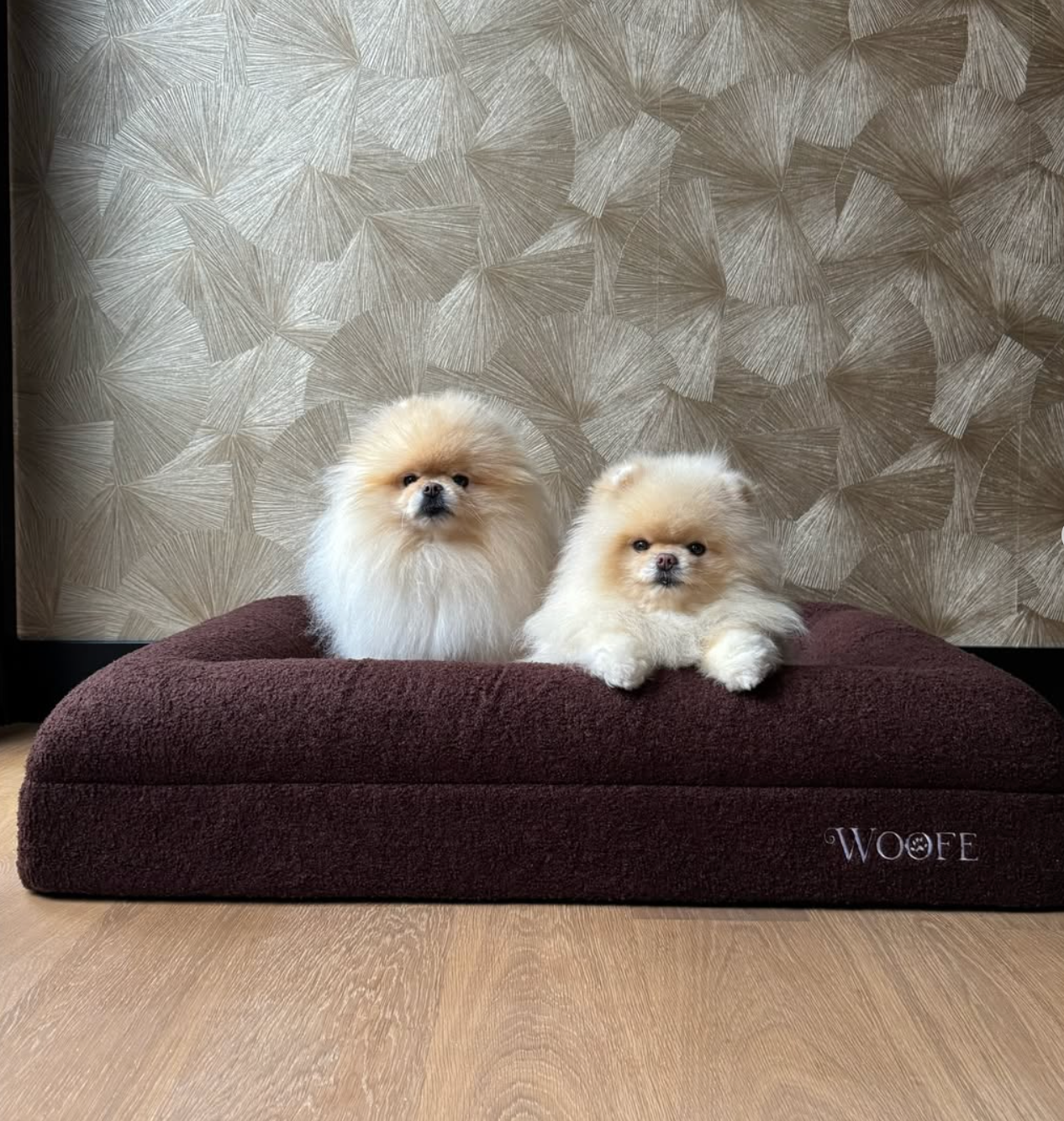 The Bear Bed Mijn winkel