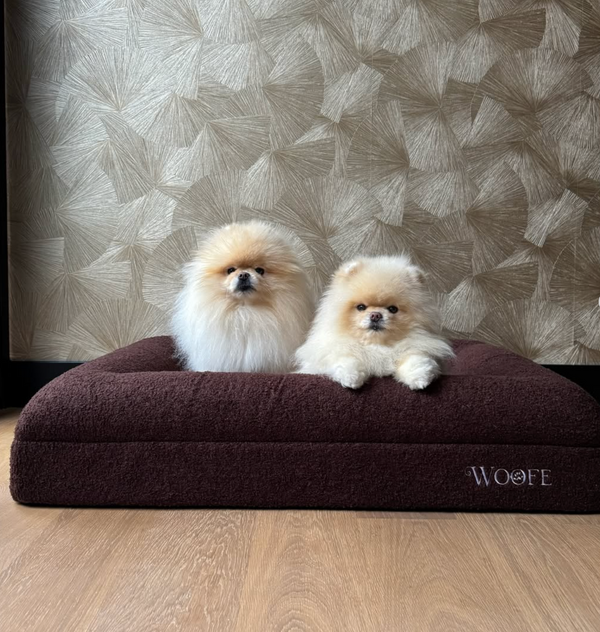 The Bear Bed Mijn winkel