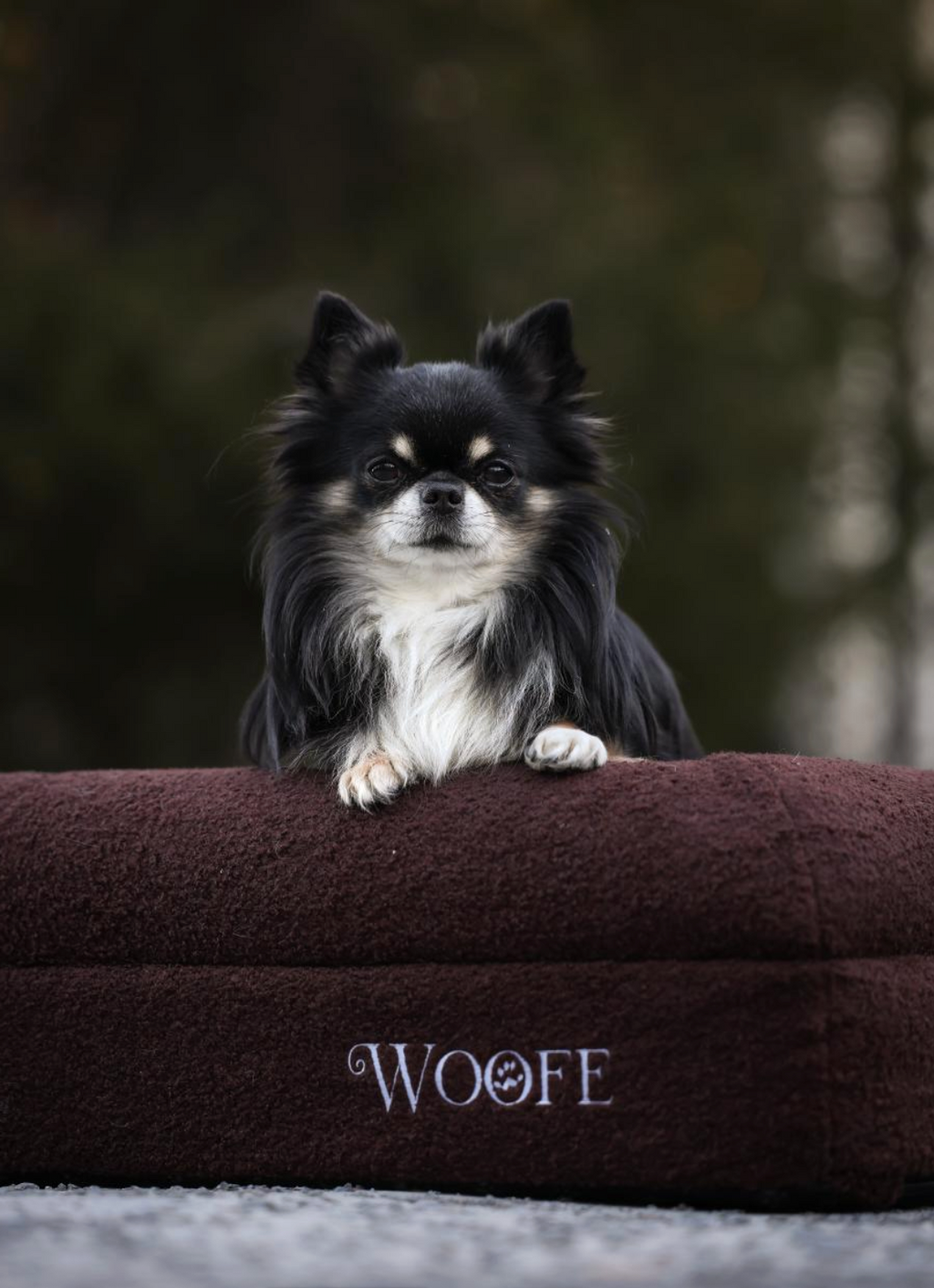 The Bear Bed Mijn winkel