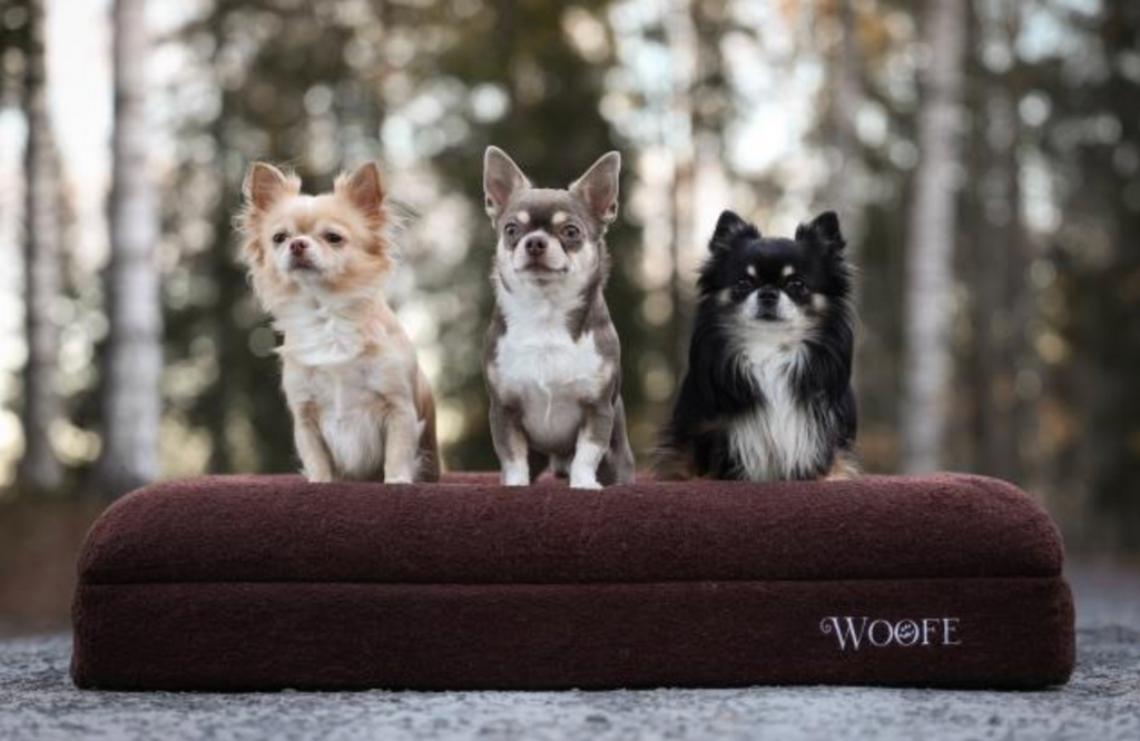 The Bear Bed Mijn winkel