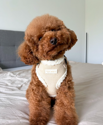 Beige Suede Harness